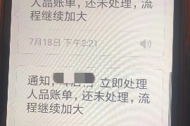 湖州融资清欠服务